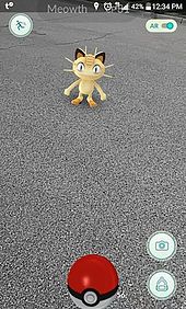 170px-Pokemon_Go_screenshot