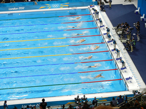 Olympics Bible Study - Swimming Image