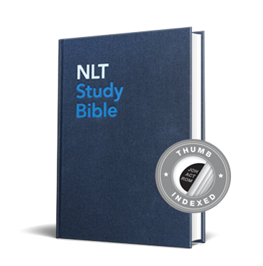 Photo of the NLT Hardcover, Indexed, Blue Fabric Bible - ISBN: 978-1-4964-1664-3
