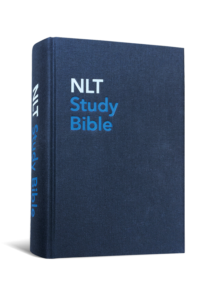 Photo of the NLT Hardcover, Blue Fabric Bible